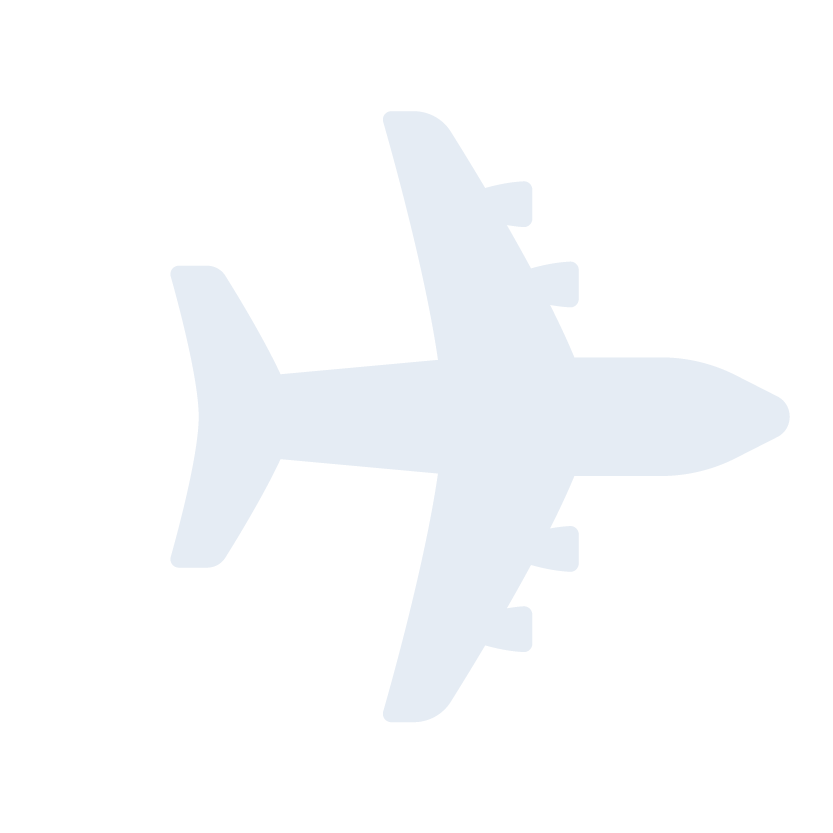 Plane Icon